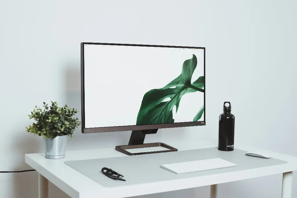 24-Inch Frameless IPS Monitor